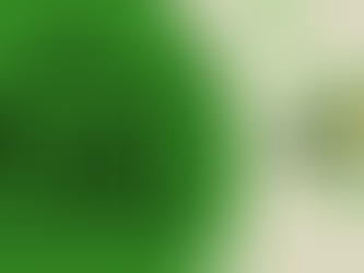 Closed for emergency calls outs this weekend