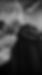 IMG_8819.jpeg
