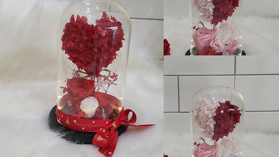 Preserrved Roses with Love Tree in Glass Dome with Led Lights