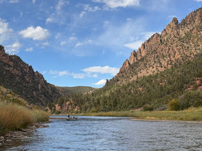 Colorado Fishing Report: Vail Valley and Beyond 9/12/26