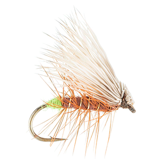 Elk hair caddis
