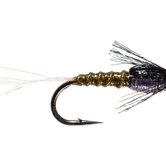 Hilbert’s Day Saver May BWO