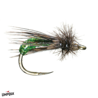 Graphic caddis