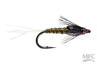 Hilbert’s day saver may bwo