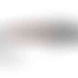 Hilbert’s Daysaver midge