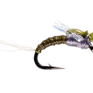 Hilbert’s Sexi Top May BWO