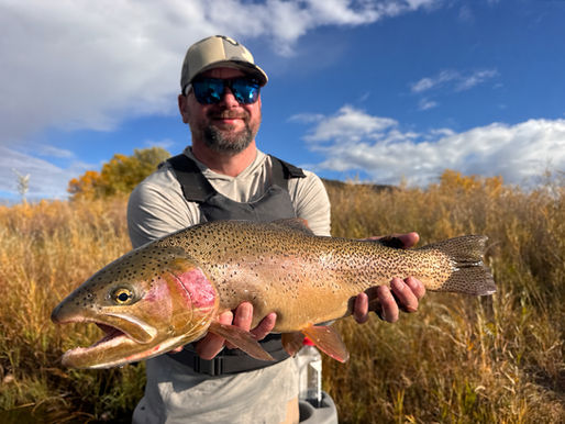 Colorado Fishing Report: Vail Valley and Beyond | October 26, 2026 Upper, Middle, and Lower Colorado River • Roaring Fork River • Eagle River