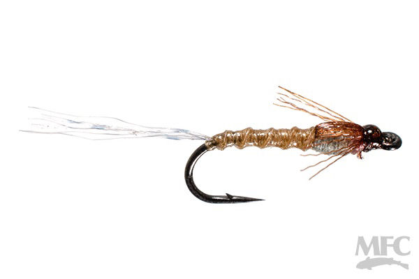  Hilbert’s Day Saver May - Gray Baetis is a top choice for picky trout right now. 