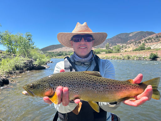 The Starting Lineup: 3 Flies You MUST Have for June Fly Fishing in Colorado