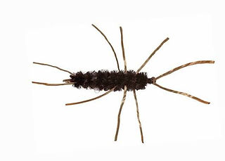 Pats rubber legs stonefly nymph