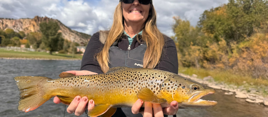 October Hatch Guide - everything you need to know about Colorado hatches in October.
