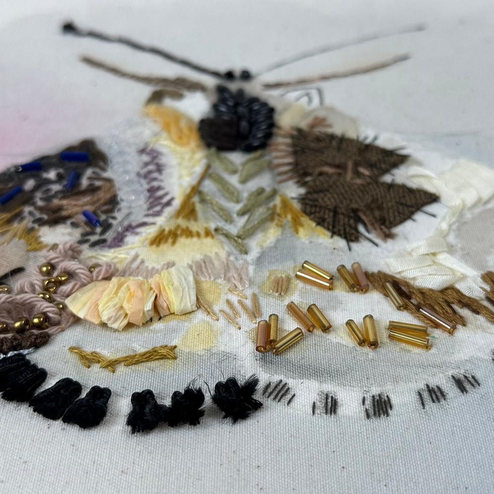 Thumbnail: baby moth