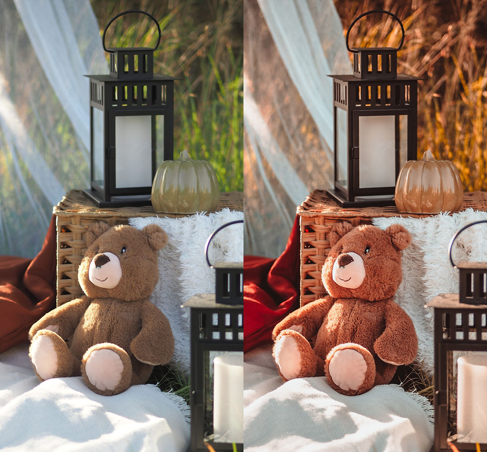 Miniatura: PUMPKIN TIME preset