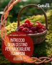 Intreccio di un cestino per raccogliere i lamponi