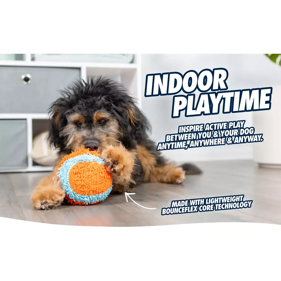 Thumbnail: Chuckit! Indoor Ball
