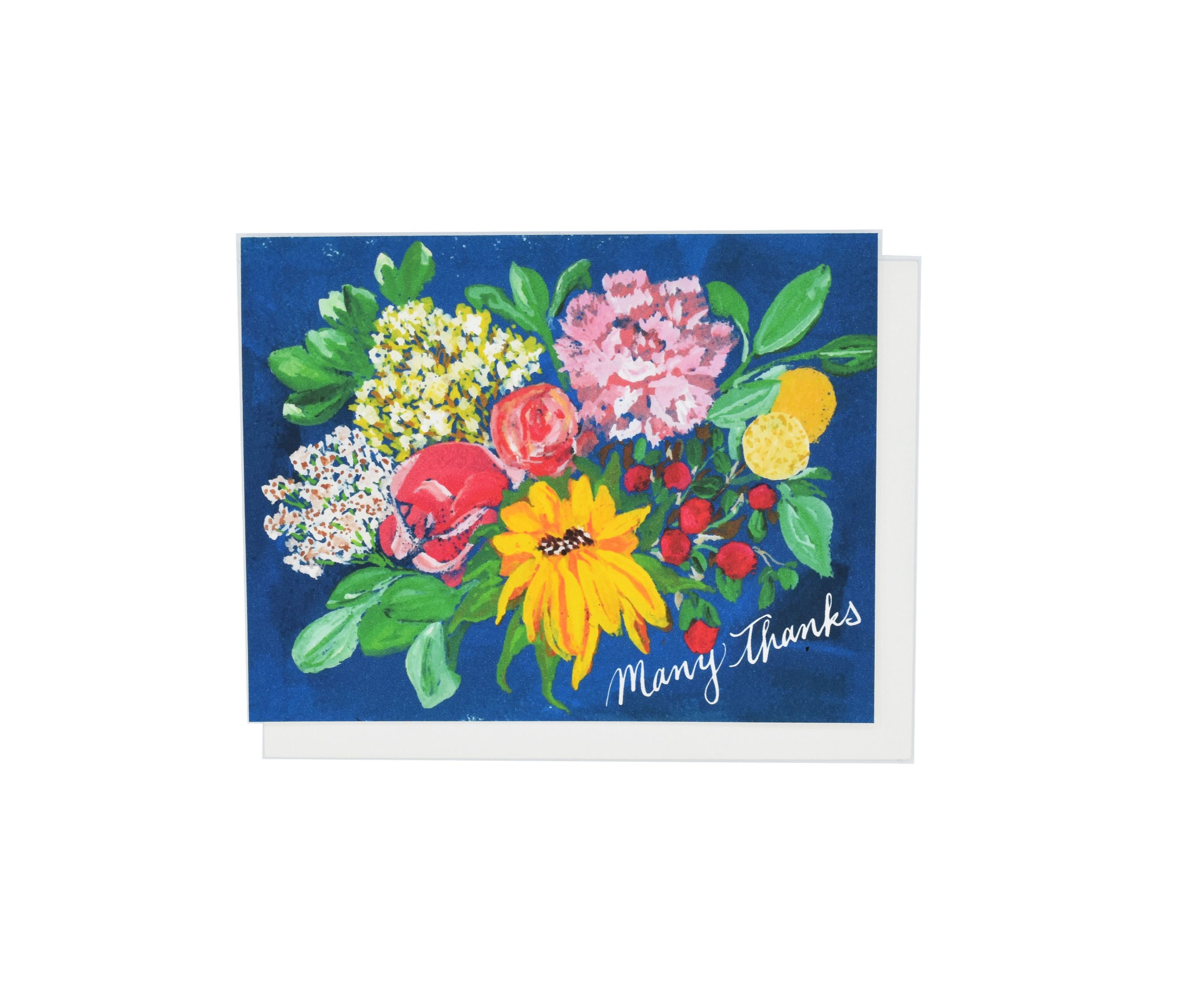 BLUE FIELD MANY THANKS