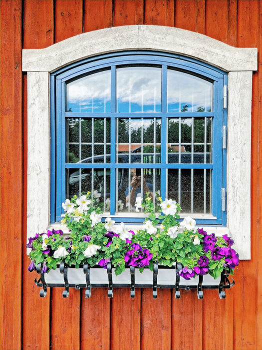 Inackorderingsstall-1 stallfönster med blommor
