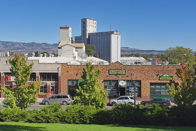 Hunt and Behrens behind Downtown Petaluma.jpg
