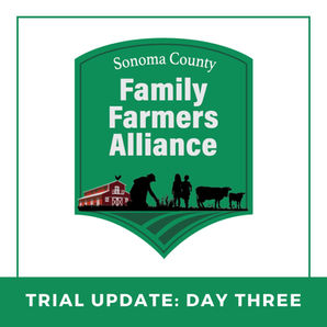 Deputy Sheriff and Safety, Security and Environmental Manager Take the Stand on Day 3 of Sonoma County Trial for DxE Operative Charged with Conspiracy, Burglary, and Theft