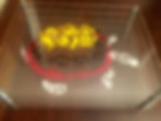 Thumbnail: Plexi Pixel: Terrapin - Maryland