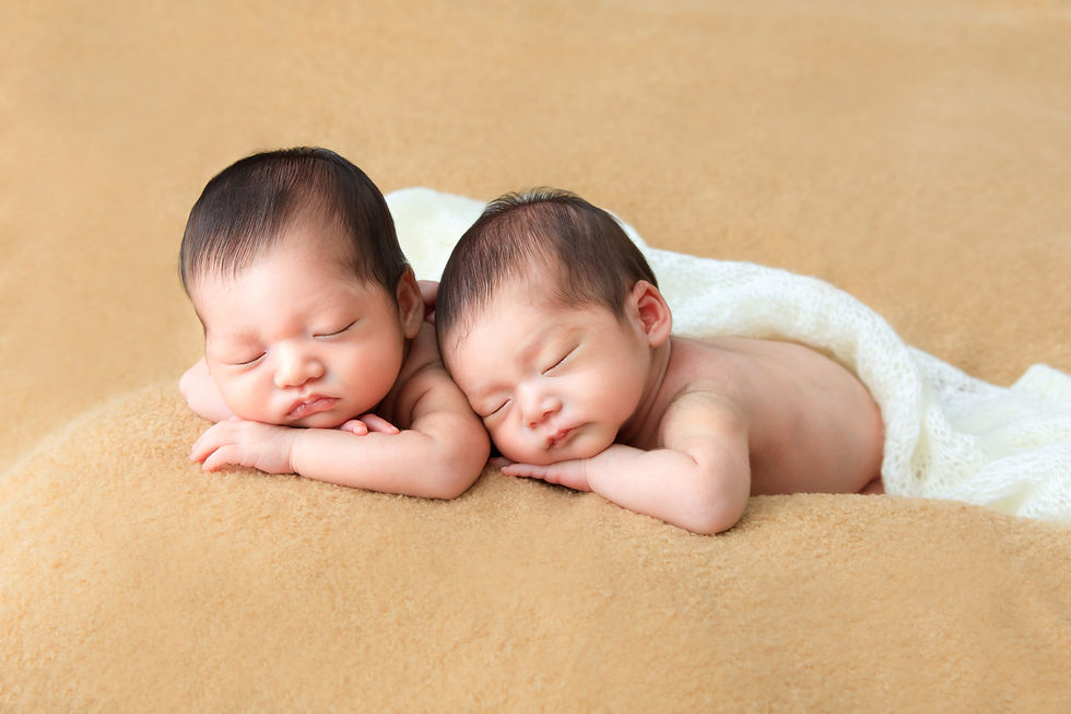 生後20日の双子のニューボーンフォト
