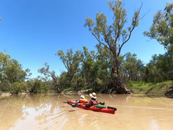 Paddling Barwon River