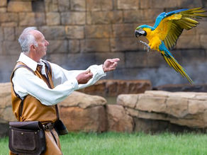 The First Live Action Show Park Opens in the UK