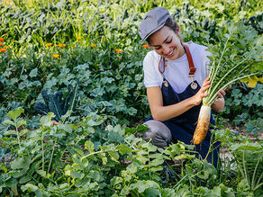 sustainability in hotels