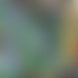 冬季あまご釣り場　05-06　　