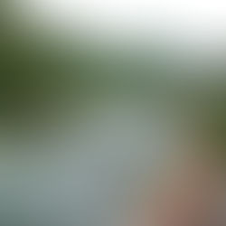 監視員より釣果報告(鮎)6/19