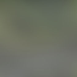 監視員より釣果報告(鮎)7/27