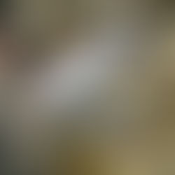 釣果報告(キャッチ＆リリース）🎣