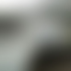 監視員より釣果報告(鮎)と川の様子8/17