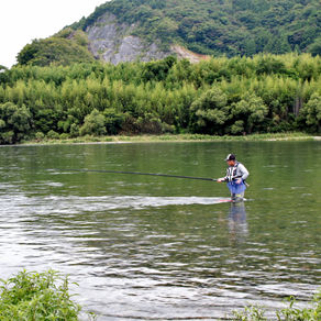監視員より釣果報告(鮎)7/12