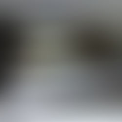 監視員より釣果報告(鮎)6/1 長者川