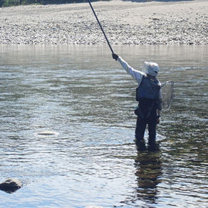 監視員より釣果報告(鮎)10/2