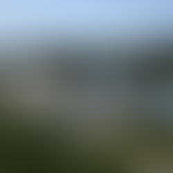 監視員より河川状況報告 6/21