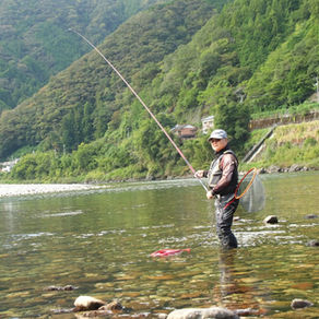 監視員より釣果報告(鮎)10/12