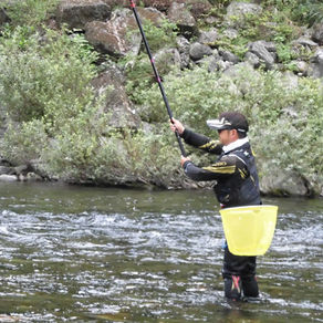 監視員より釣果報告(鮎)