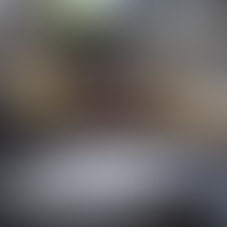 釣果報告(本流あまご)🎣