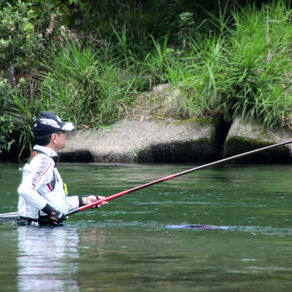 監視員より釣果報告(鮎)7/17
