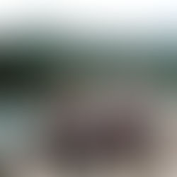 監視員より釣果報告(鮎)7/10