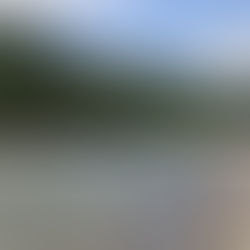 監視員より釣果報告(鮎)