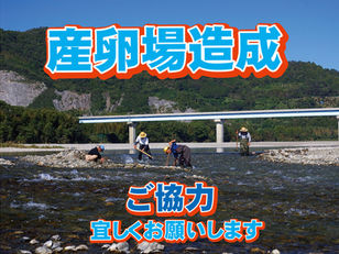 鮎産卵場造成 ボランティア募集