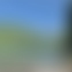 監視員より釣果報告(鮎)7/7