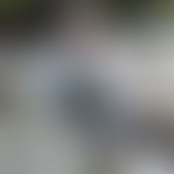 監視員より釣果報告(鮎)