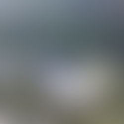 上八川川　防鳥ライン張