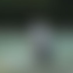 監視員より釣果報告(鮎)