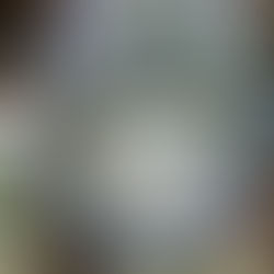 監視員より釣果報告(鮎)8/18