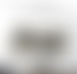 監視員より釣果報告(鮎)